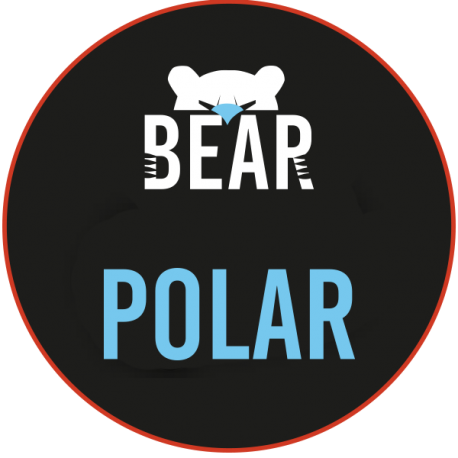 Polar - BEAR